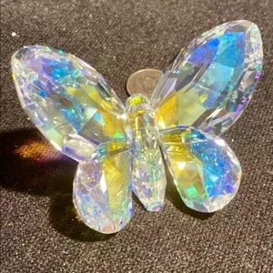 ISO looking for an butterfly 🦋